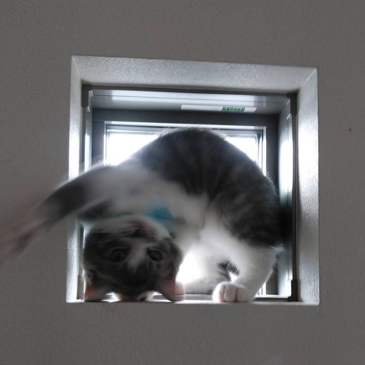 5461ffa7 6294 4905 a6de 3904f33edf3c 1563799165178