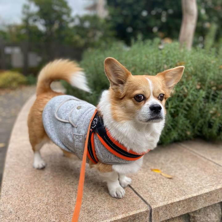 54620c54 83d1 4a78 b0ff 08ff68cb13f1 1701853130969