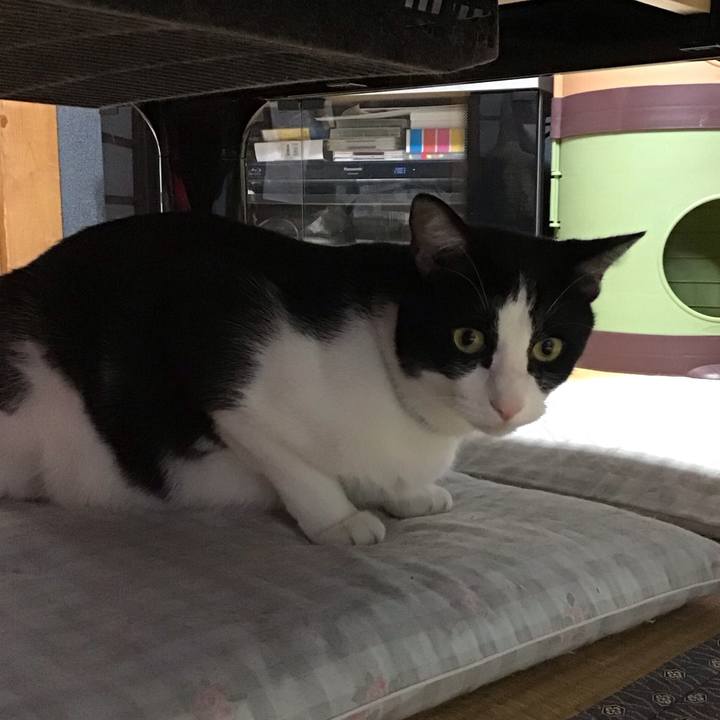 54621110 f269 45a8 8198 252cb3de676e 1695732031261