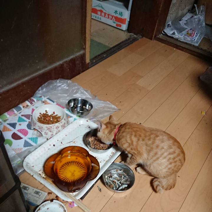 54622eb4 bbaf 441d 9d19 85bb9b6c3617 1633899182622