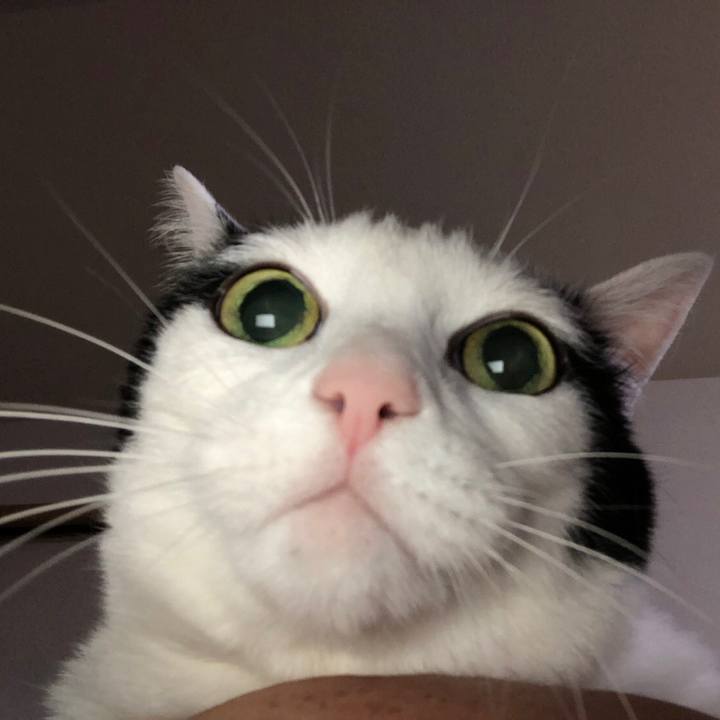 54624668 b1b8 426d b5d3 1813f1f099ae 1570348167201