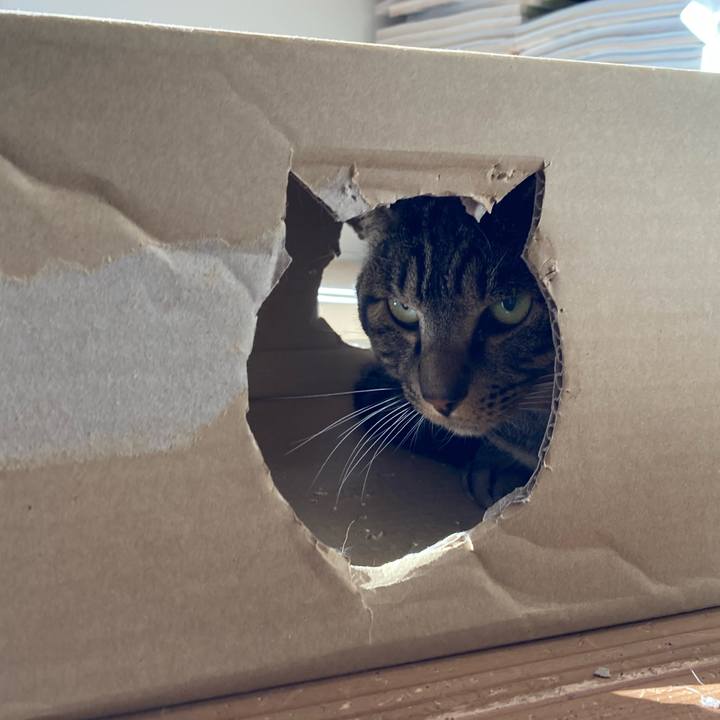 5462990c 22d3 4d0e 9f28 ef85f5be0fe2 1667828077937