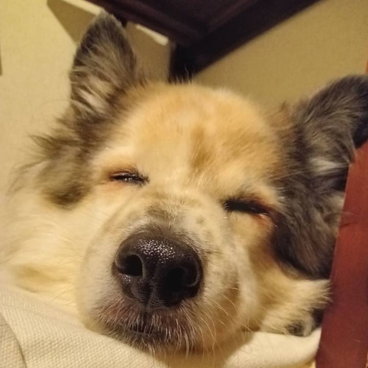 5462ad59 f47b 4791 844a fb4adbbbb8fb 1695034574415