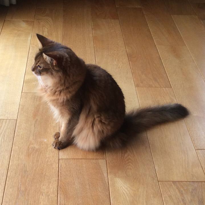 5462c5e8 9123 422c a546 9617fe507607 1627192484450