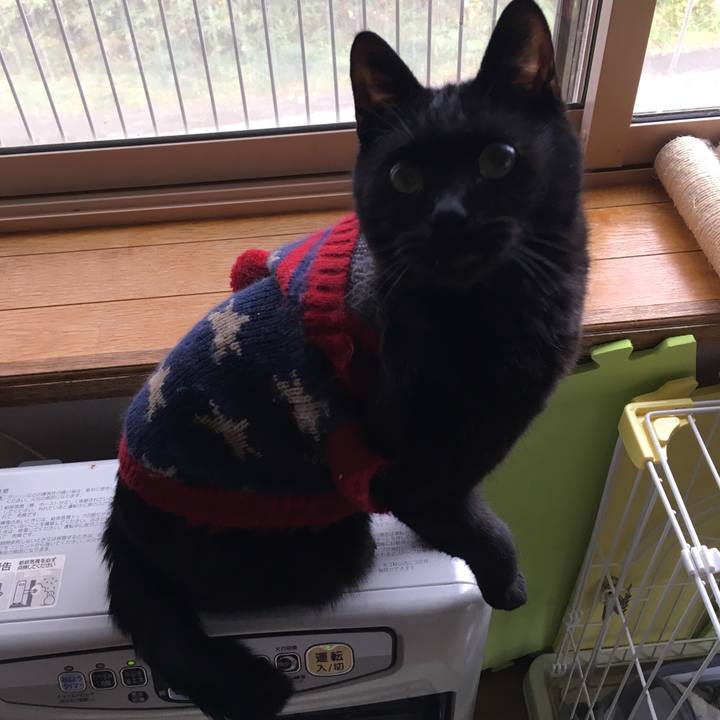 5462e314 b026 4853 90c5 8ff07d5f2ef4 1542011117787