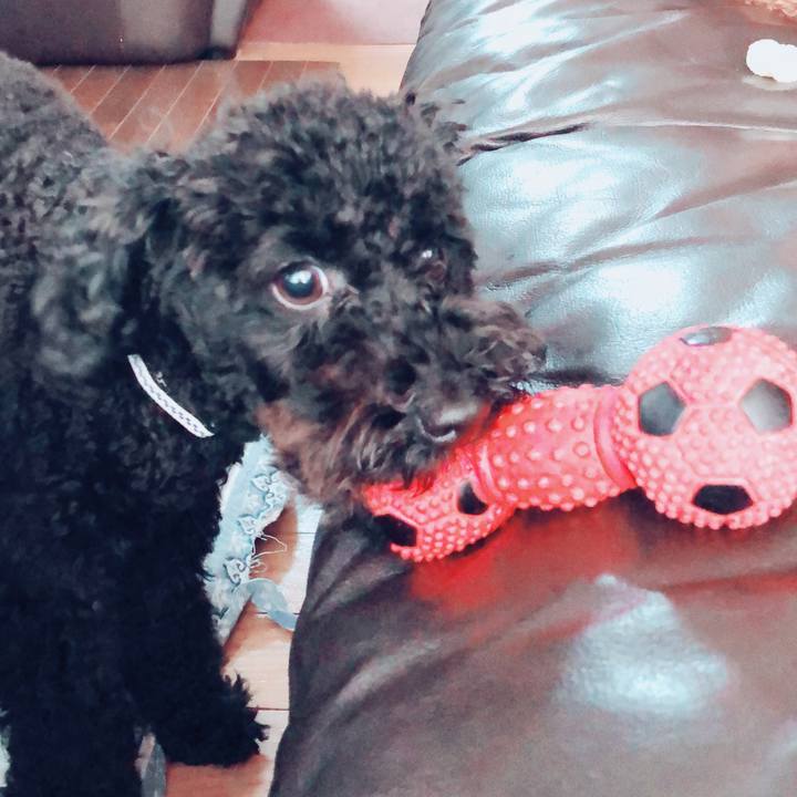 5462f1a0 c98b 456e aed9 79aed557a167 1510825261882