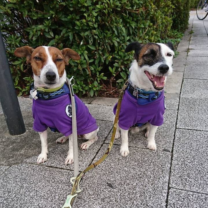 546310d2 c3be 44e0 896d f4dfc7f0fc83 1601333494165