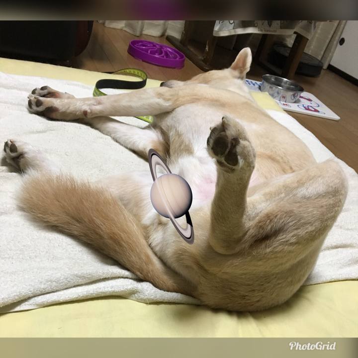 546325bc 8a3f 462e 9253 3528f313adc9 1532184293124