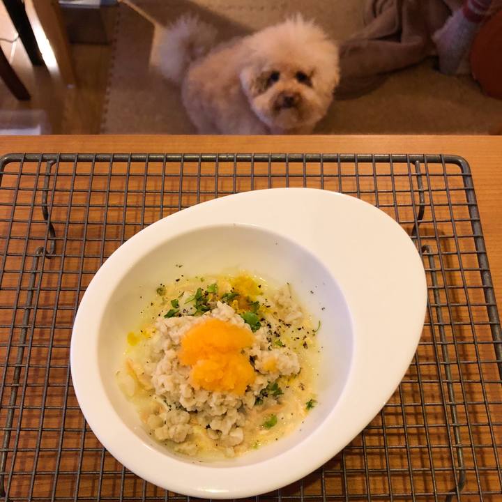 54638590 b077 4713 a85b 2553e3afa418 1523482764844