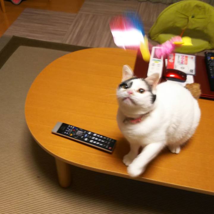 54638616 f8c0 4702 9f23 fe20c0500ef1 1562407111806