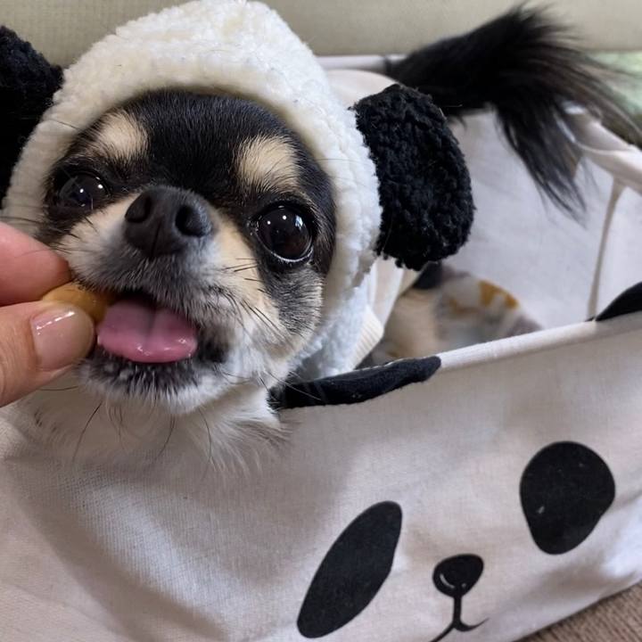 5463a51d 3ed6 42a4 93b6 f6a104962af1 1607409236102