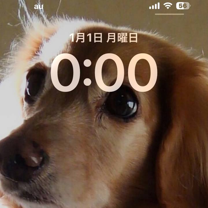 5463ab10 1947 4137 ad39 b77c6d28eb76 1704035063192