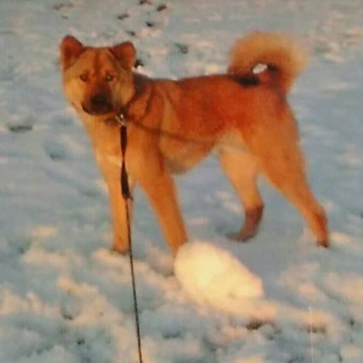 5463c444 4450 49af a3a2 8a75b527f924 1641566032934