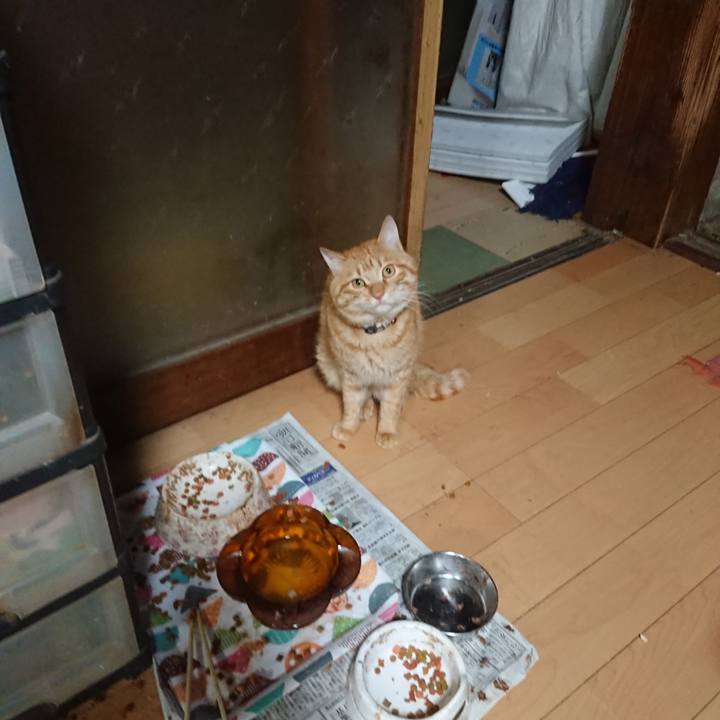 5463e617 d57d 4d37 ad78 91623cdd3f7e 1655206807485