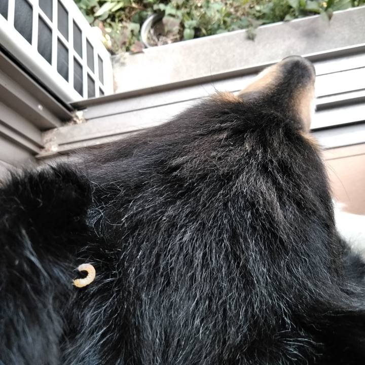 546416fa 6b45 4a53 ae54 af866d75d44a 1558186897028