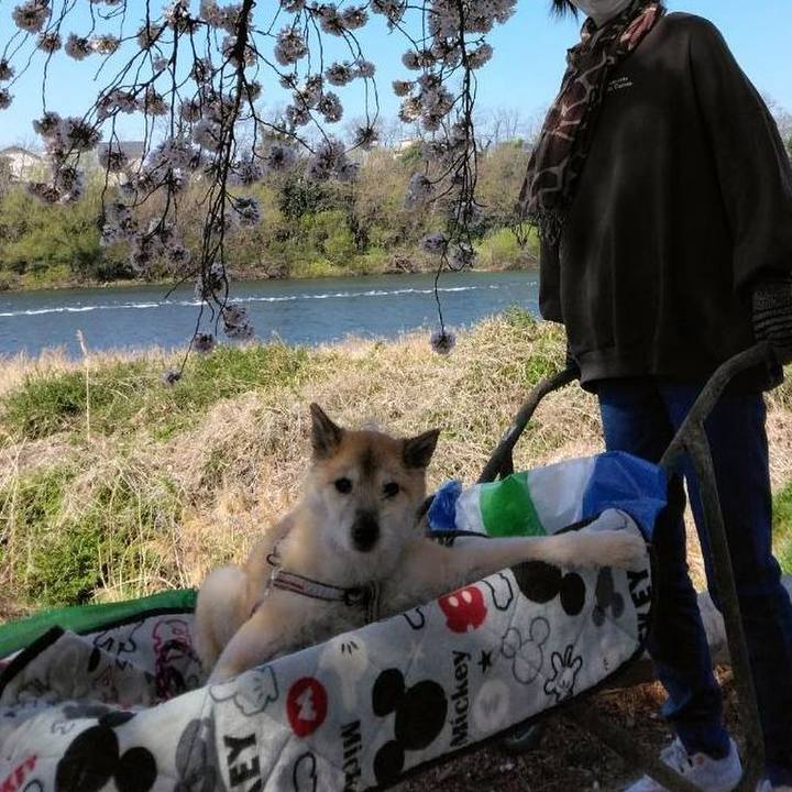 5464246f 3bb3 4901 bd36 e8eff26c35b0 1648865825957