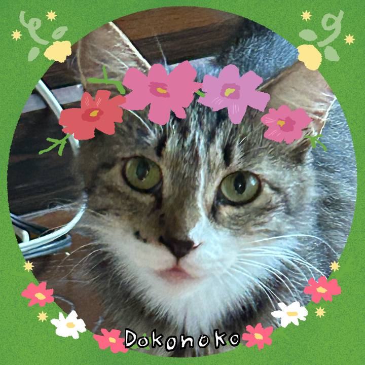 54646d20 3821 4a3d 926d b2f6b9fb5d58 1726977702221