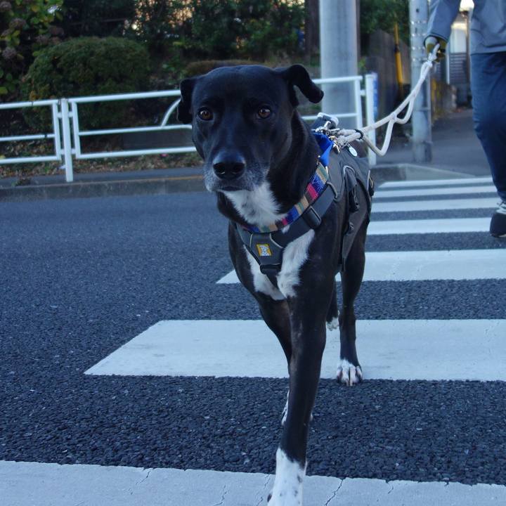 5464718d d05a 4e5b 94fc 1b333efb4ac3 1639183962112