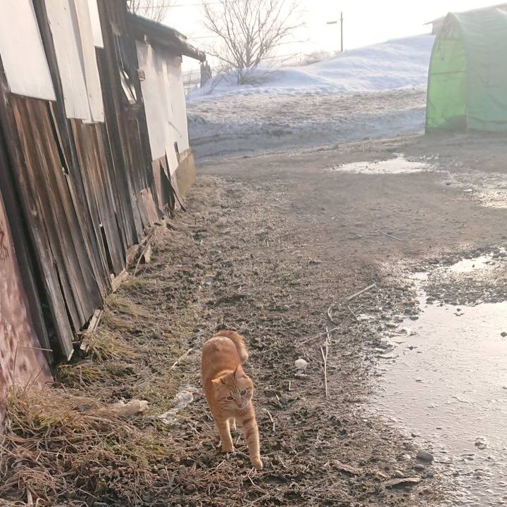 54647919 47fc 4f22 9693 30a6e014a930 1646950471817