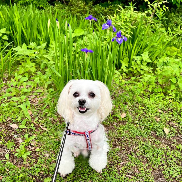 546487b5 aa91 4560 b0d0 9ab24c052026 1652949589712