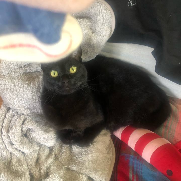 54649e07 b5fb 428d 8d05 33d45bf87f80 1650532914607