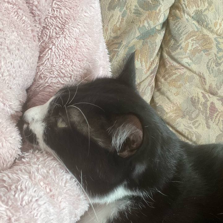 5464b2dc 5a6a 46b3 bb65 3431f6344456 1705279991472