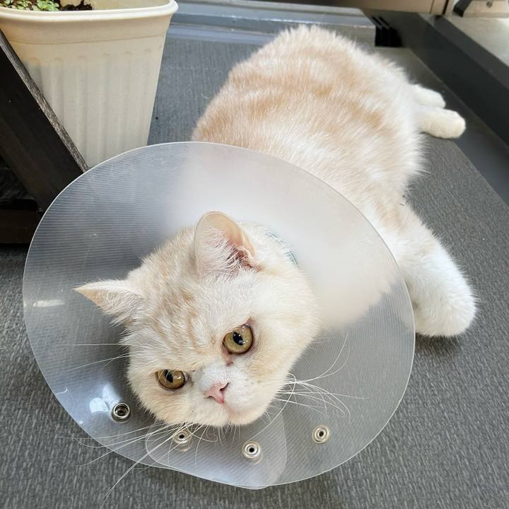 54650677 d57a 4a85 9cca 58224cf881bf 1756250751161