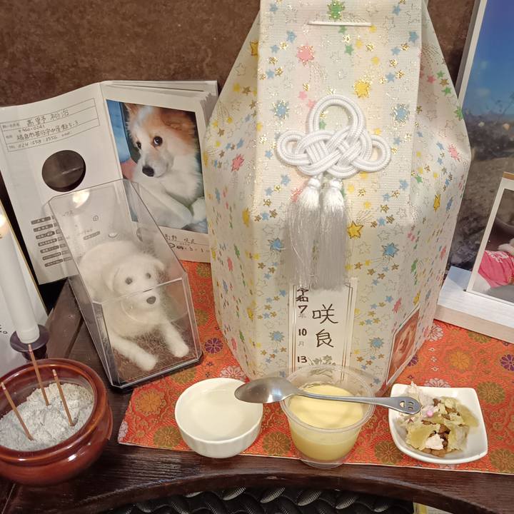 54656384 1858 4308 918a 435bd35d5ab9 1760558485068