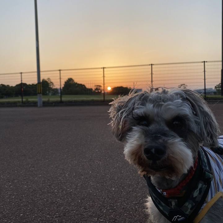 54656398 ca61 4177 940d 9f2c560e805d 1716710900402