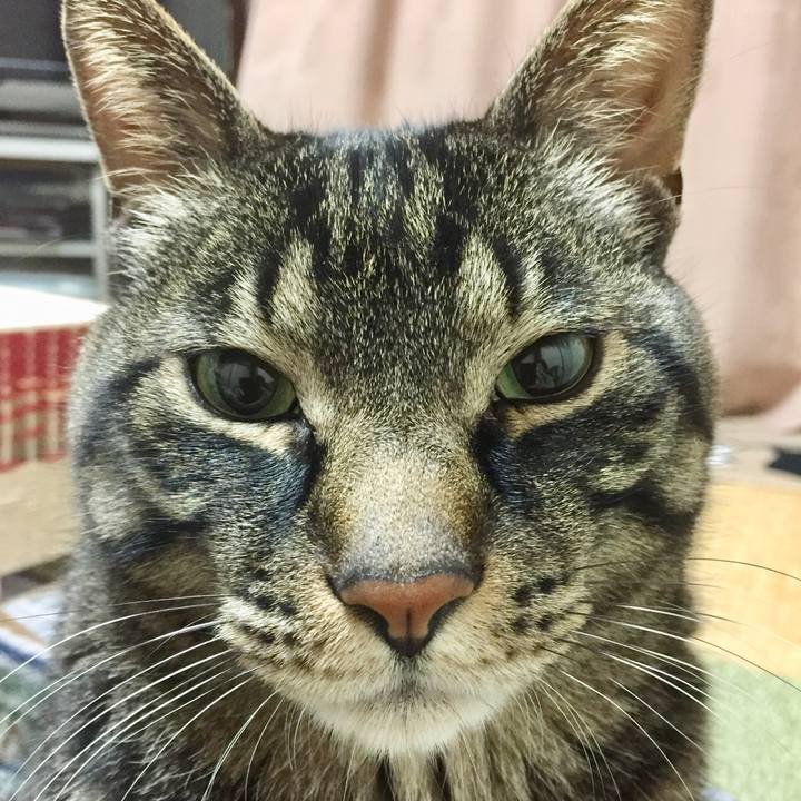 54657786 1b7c 4cef beac 0326e1e1289d 1532065151429