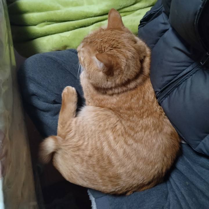 5465aba4 4259 483c b5c2 cd039ab5067e 1674987112636