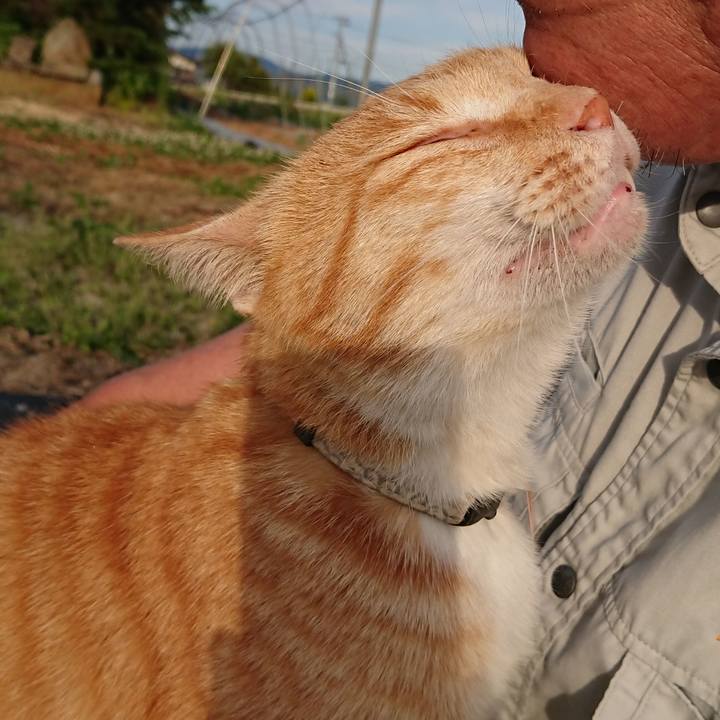 5465aea0 7c74 4da4 8cc7 f7c908c54102 1591607038605