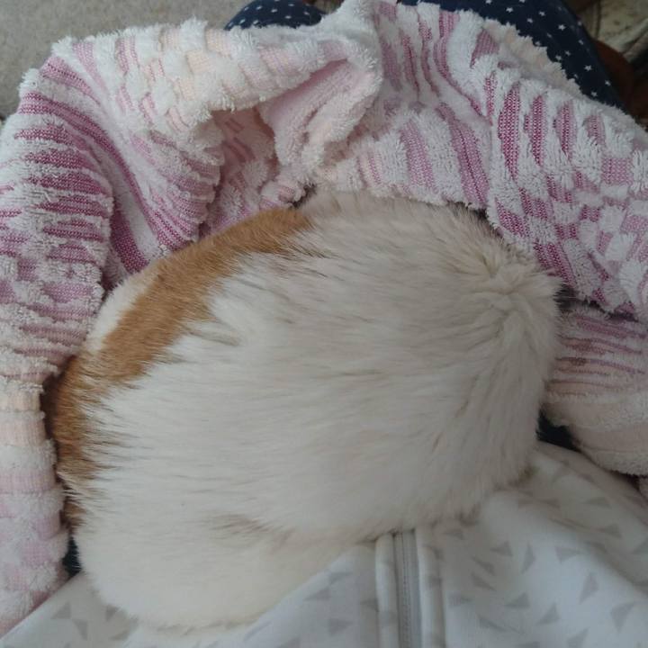 5465d98f d00c 4c8e bfdf 12af17add1b2 1656407704000