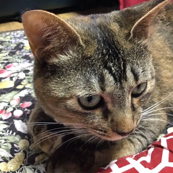 5465f1d2 58e2 4aab a713 c0377f7df5cc 1624087949242