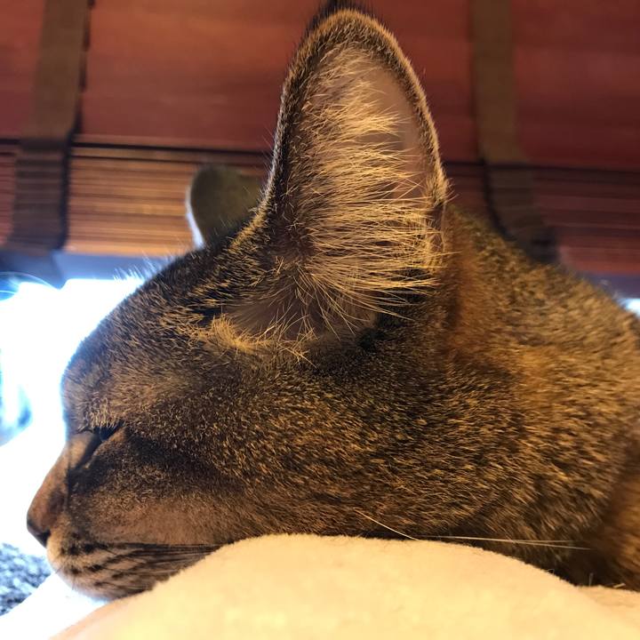 54661cca 8d4b 4df1 a746 944ece204c97 1552203268993