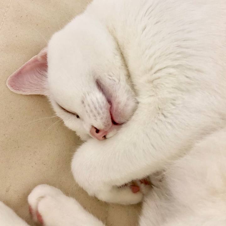 546654e7 3549 49e9 9b00 7da4844ee6b6 1522666708286