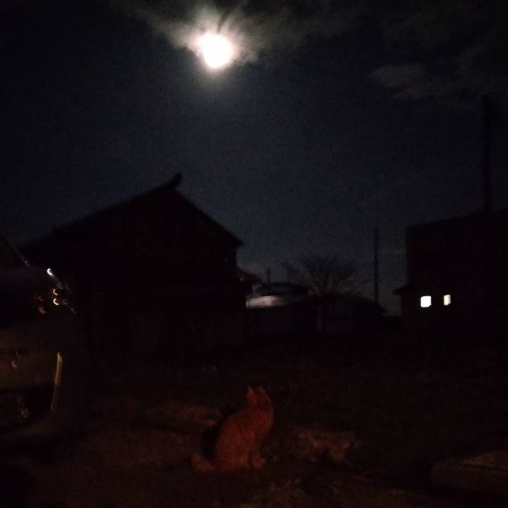 5466681a 56c1 472b 90d6 1baab9732089 1680782564284