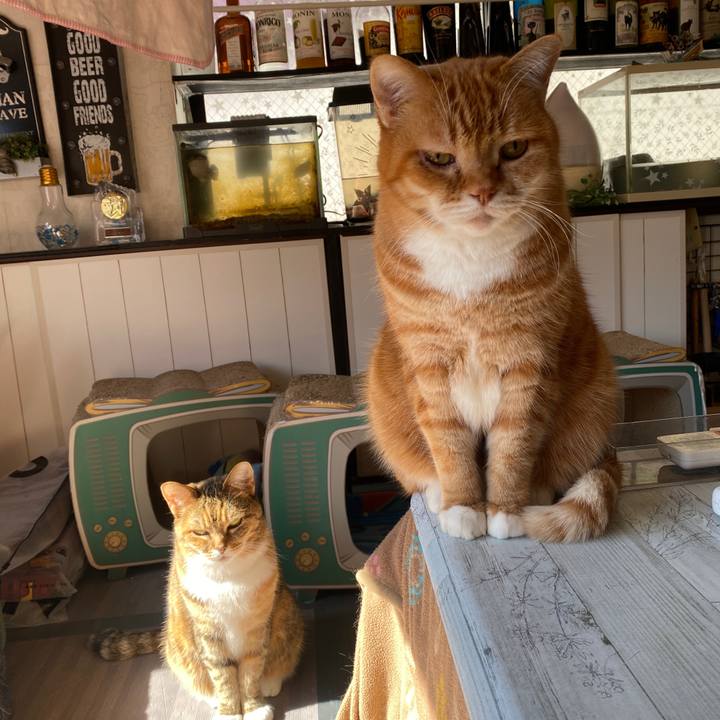 54668df5 571e 4934 8e50 539413be34cc 1644200353109