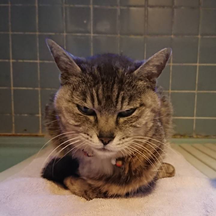 54669473 fcd3 4171 b31f 809d127a0e48 1591524752741