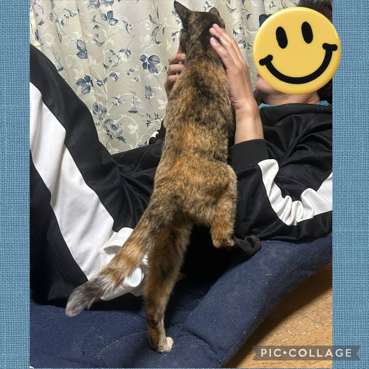 5466c945 8e0d 4b6f b297 1750b6c63509 1776161332314