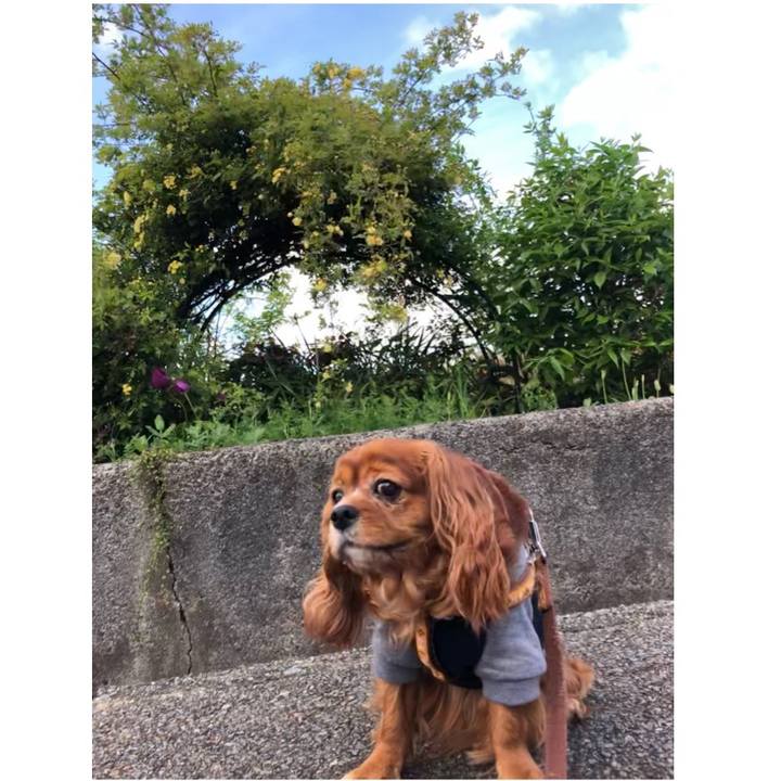 5466e291 f461 4720 bf56 04abc6a32a0d 1650067631119