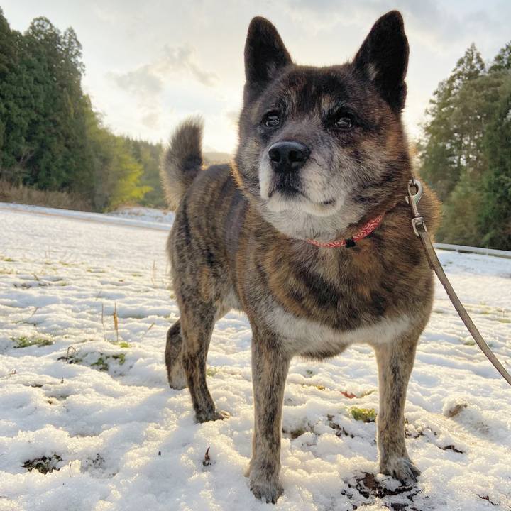 5466e531 034a 491e bbe0 0ec730bd314c 1612399410264