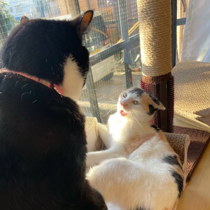 5466fa03 05a2 4c78 a085 883c80b2d932 1672960189398