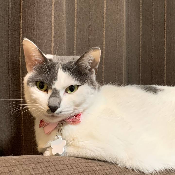 5466fe7e 6ab8 4125 94ce ad35f687b3ae 1612708589616