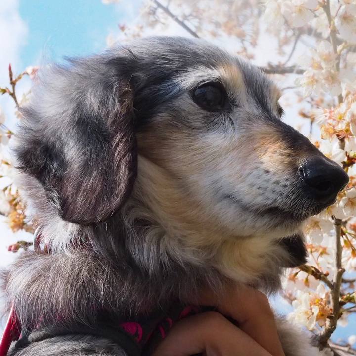 54675aed f3af 40ca 9e42 06e4a24b433c 1614950337272