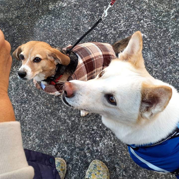 54676b96 09f8 439b b3a1 bb96d98fa6c3 1641694838777