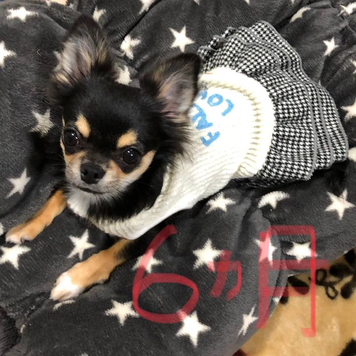 54677e38 fa96 4819 b1e5 ecdc968aa34d 1544257615139