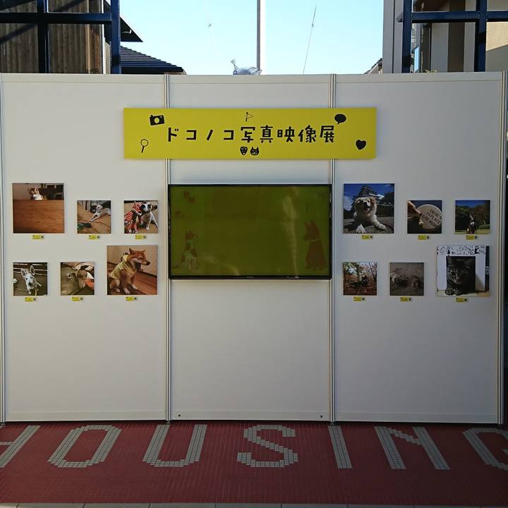 54677ebf c1ed 4e43 81f9 fe744dda575e 1541846545531