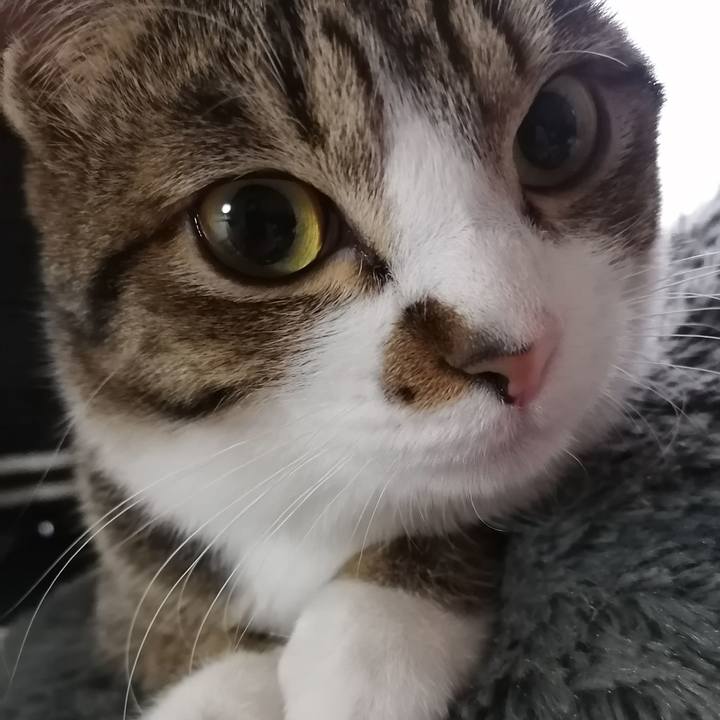 54678804 3322 466e 8789 a67b1e98cf84 1675035047782