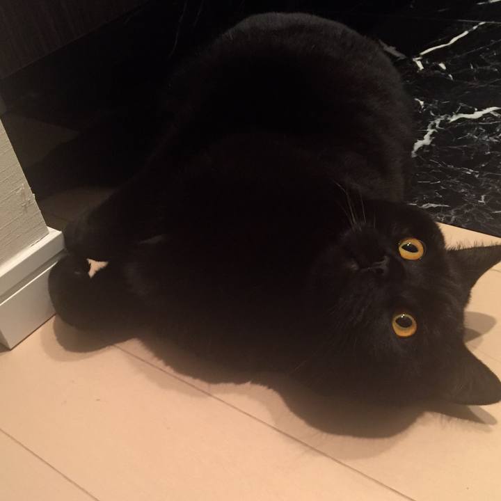 546793d3 9335 47f6 8c94 d239ec3432aa 1523799465986